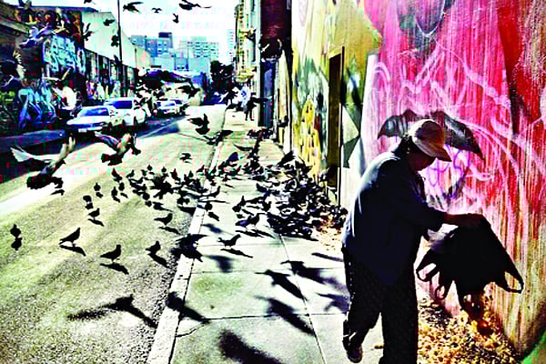 স্মার্টফোনে তোলা একটি ছবি