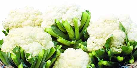 ফুলের মতো ফুলকপি