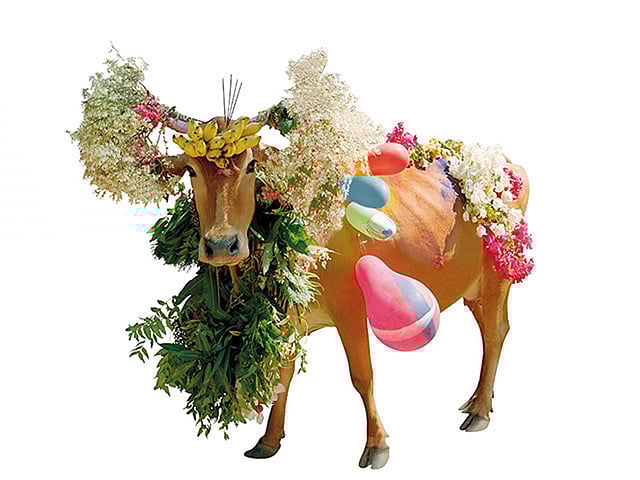 ছবি: টনি মেনেগুজ্জো/দ্য গার্ডিয়ান