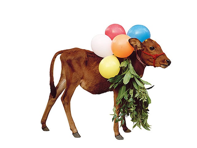 ছবি: টনি মেনেগুজ্জো/দ্য গার্ডিয়ান