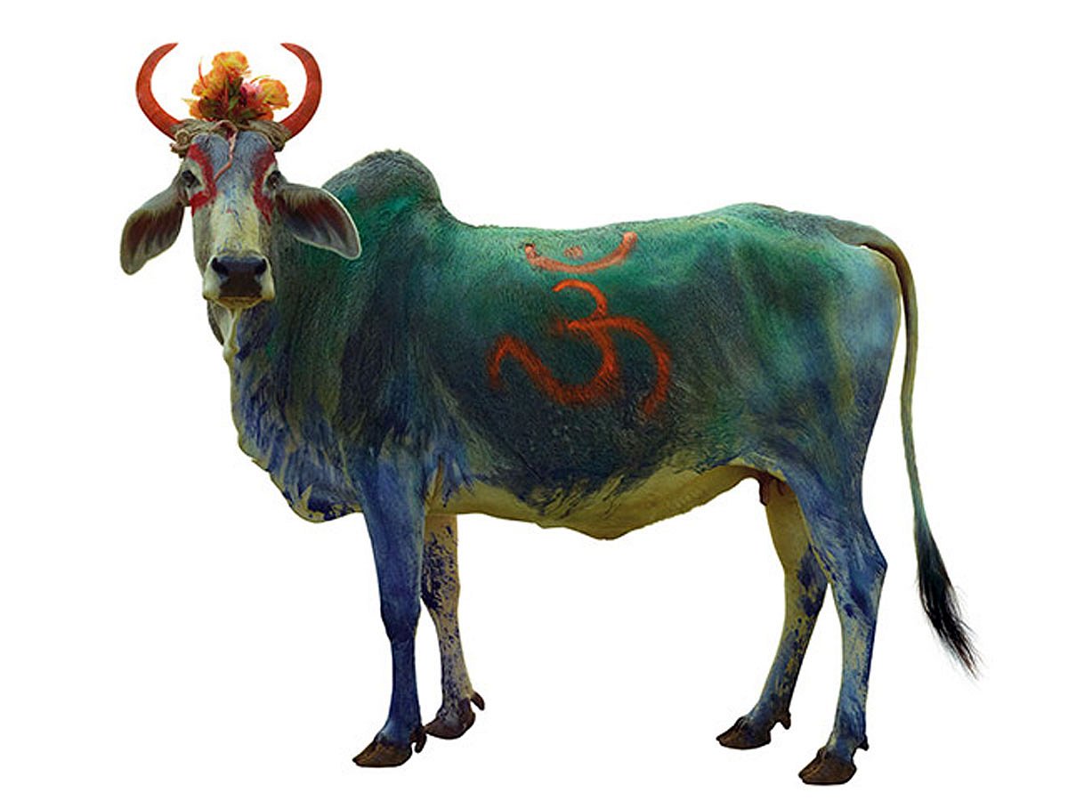 ছবি: টনি মেনেগুজ্জো/দ্য গার্ডিয়ান