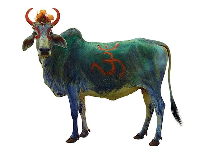 ছবি: টনি মেনেগুজ্জো/দ্য গার্ডিয়ান