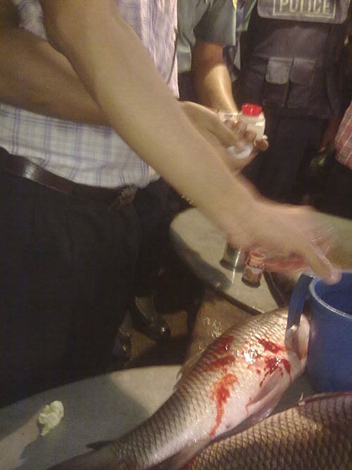 ক্ষতিকর এ রঙের ছোঁয়ায় মাছ হয়ে যায় তাজা(!) ছবি: কমল জোহা খান