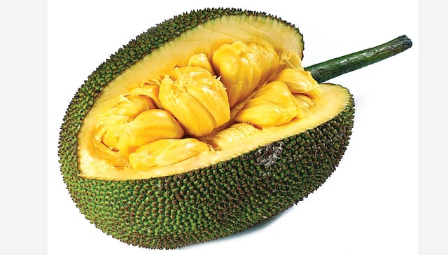 কোষ্ঠকাঠিন্য দূর হয় কাঁঠালে