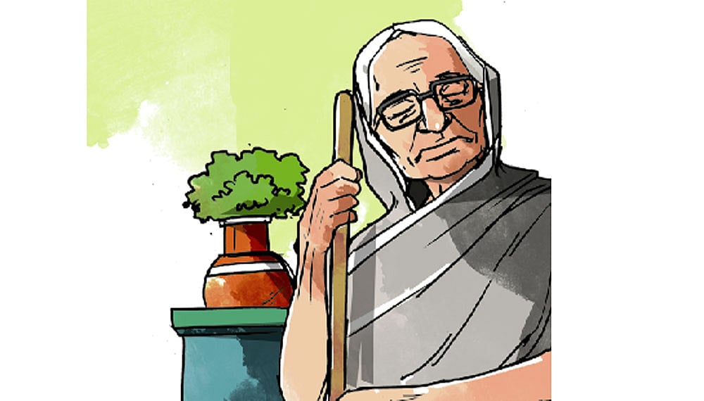 অলংকরণ: তুলি