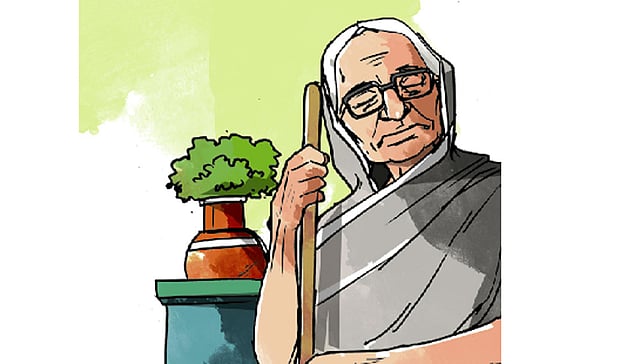 অলংকরণ: তুলি