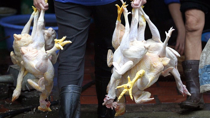 ফাইল ছবি: রয়টার্স