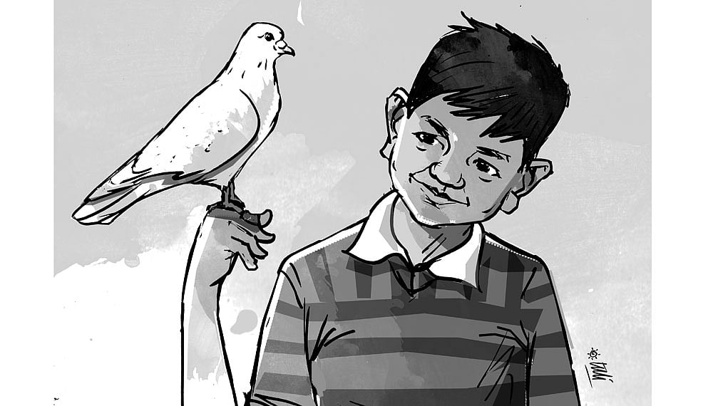 কার্টুন: তুলি