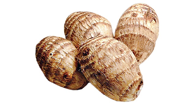 মুখীকচু