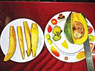 পাকা অ্যাভোকাডো কাটলে ভেতরটা এ রকম l প্রথম আলো