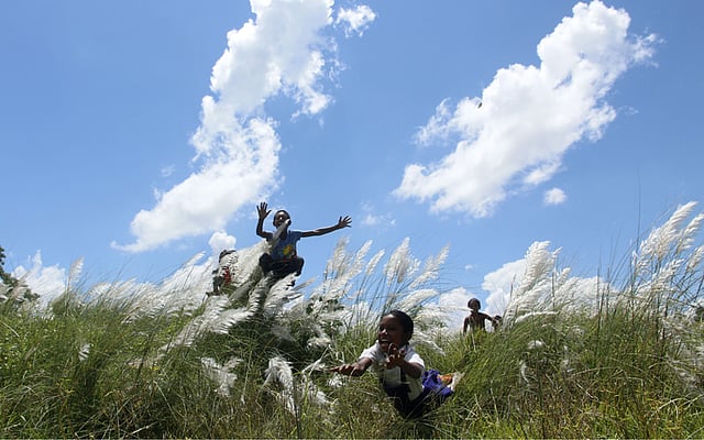 শরতের নীল আকাশে ধবল মেঘের ওড়াওড়ি। কাশবনে ঢুকে মনের আনন্দে দুরন্তপনায় মেতেছে দুরন্ত শিশুরা। ছবিটি আজ মঙ্গলবার সকালে রাজশাহী নগরের জামালপুর এলাকা থেকে তোলা। ছবি: শহীদুল ইসলাম, রাজশাহী