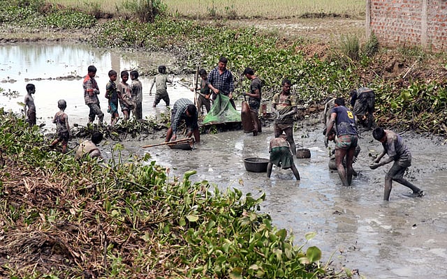 কয়েক দিন আগেও এই খালটি ছিল পাহাড়ি ঢলের পানিতে টইটম্বুর। টানা বৃষ্টি আর ঢলের পানি কমায় শুকিয়ে যাওয়া খালে বড়দের সঙ্গে মাছ ধরতে নেমেছে ছোটরাও। ছবিটি আজ মঙ্গলবার দুপুরে সিলেট সদর উপজেলার বাদাঘাট এলাকা থেকে তোলা। ছবি: আনিস মাহমুদ, সিলেট