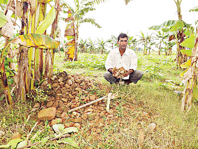 বহু পুরোনো ক্ষয়ে যাওয়া এসব ইট মঙ্গলপুর গ্রামে জনবসতির সাক্ষী হয়ে টিকে আছে। সম্প্রতি তোলা ছবি l প্রথম আলো