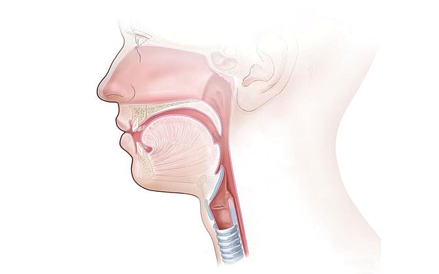 গলা ভাঙাই অনেক সময় মারাত্মক কোনো রোগের উপসর্গ হিসেবে দেখা দিতে পারে