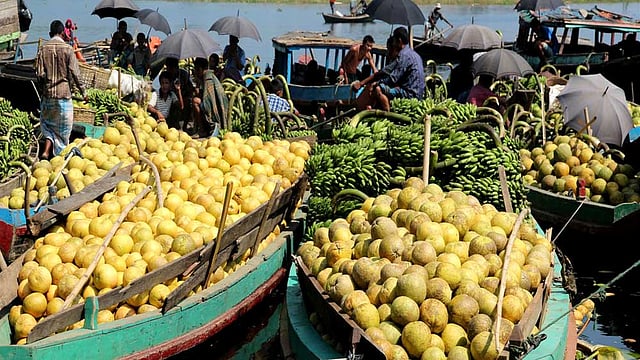 সমতলে বিক্রির জন্য নৌকায় করে নিয়ে আসা হয়েছে পাহাড়ি বাতাবি লেবু। ছবিটি আজ বুধবার রাঙামাটির বনরুপা সমতাঘাট থেকে তোলা ছবি। পাইকারি বাজারে ১০০টি বাতাবি লেবু বিক্রি হচ্ছে ২০০ থেকে ৫০০ টাকায়। ছবি: সুপ্রিয় চাকমা, রাঙামাটি