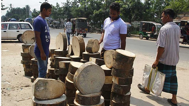 ঈদুল আজহায় কোরবানির পশুর মাংস কাটার জন্য গাছের গুঁড়ির চাহিদা বেড়ে যায়। ১৫০ টাকা থেকে ৪০০ টাকায় বিক্রি হচ্ছে এই গুঁড়ি। ছবিটি আজ রাজশাহী শহরের শালবাগান বাজার থেকে তোলা। ছবি: শহীদুল ইসলাম, রাজশাহী