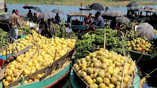 নৌকায় করে ঘাটে এসে পৌঁছেছে বাতাবি লেবু। ছবিটি রাঙামাটি বনরূপা সমতা ঘাট থেকে তোলা। ছবি: সুপ্রিয় চাকমা