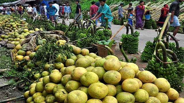 পাইকারি বাজারে বিক্রির জন্য রাখা বাতাবি লেবু। ছবিটি রাঙামাটির ঘিলাছড়ি বাজার থেকে তোলা। ছবি: সুপ্রিয় চাকমা