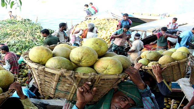 রাঙামাটির ট্রাক টার্মিনাল ঘাটে চাষিরা ঝাঁকায় করে নিয়ে যাচ্ছেন বাতাবি লেবু। ছবি: সুপ্রিয় চাকমা