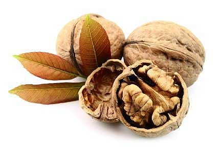 আখরোট