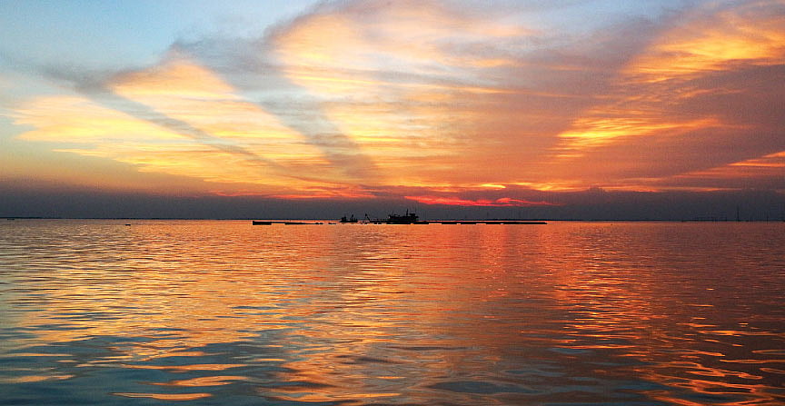 যেন প্রকৃতির লেজার শো। গুপদীঘির হাওর, কামালপুর, মিঠামইন। ছবি: লেখক