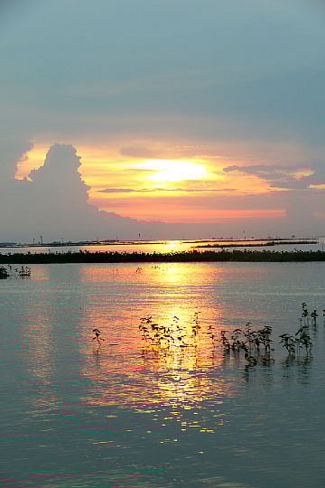ছায়ার হাওরে সূর্যাস্ত। খালিয়াজুরী