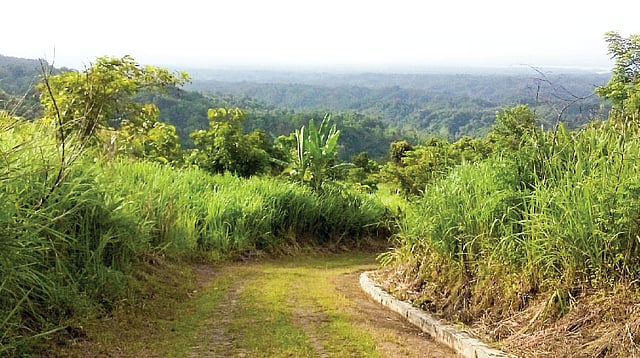 চূড়া থেকে নামার পথে। ছবি: ছন্দসেন চাকমা