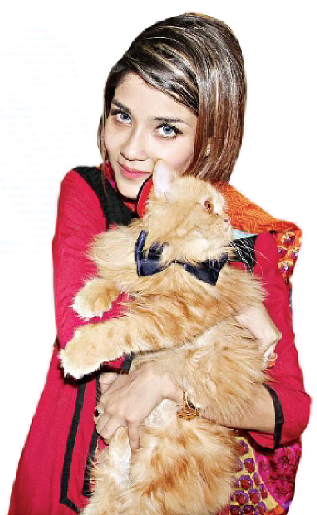 এমন সব বিড়ালপ্রেমী ভিড় করেছিলেন মেলায়