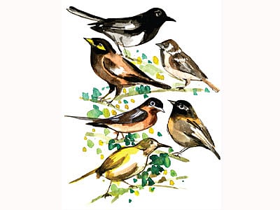 অলংকরণ: মাসুক হেলাল