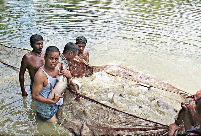 বেলাল হোসেন l প্রথম আলো
