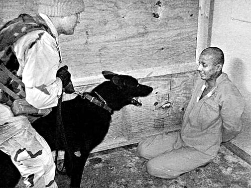 সিআই এর  নির্যাতন