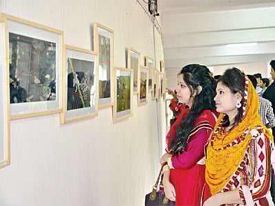 মেলায় প্রজাপতি দেখতে শিক্ষার্থীদের ভিড়