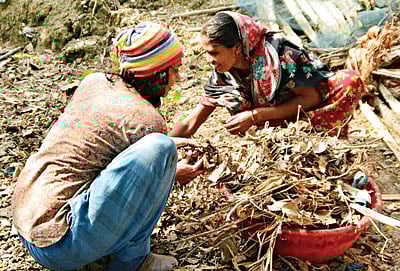 জয়মনি গ্রামে আনুশেহ l ছবি: সংগৃহীত