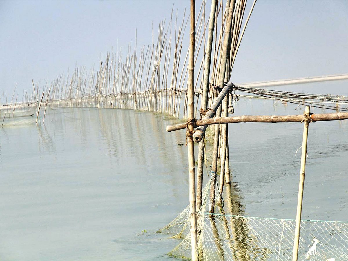 ফরিদপুর সদরের কামারডাঙ্গি এলাকায় পদ্মা নদীতে আড়াআড়ি বাঁশের বেড়া দিয়ে মাছ শিকার করা হচ্ছে। এতে দুর্ভোগে পড়েছেন স্থানীয় জেলেরা। গত শুক্রবার তোলা ছবি l প্রথম আলো