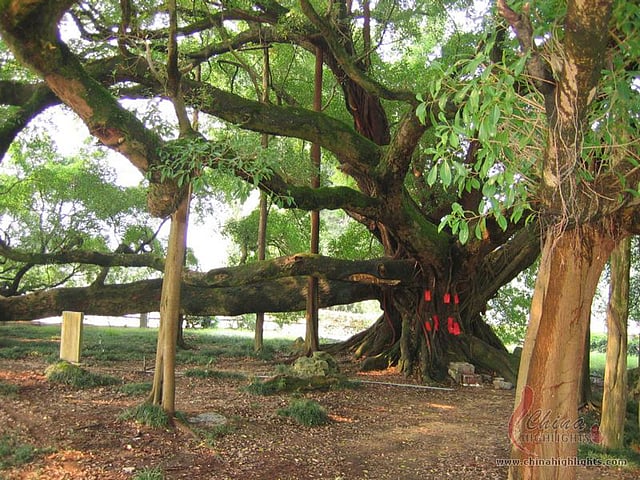 প্রতীকী ছবি