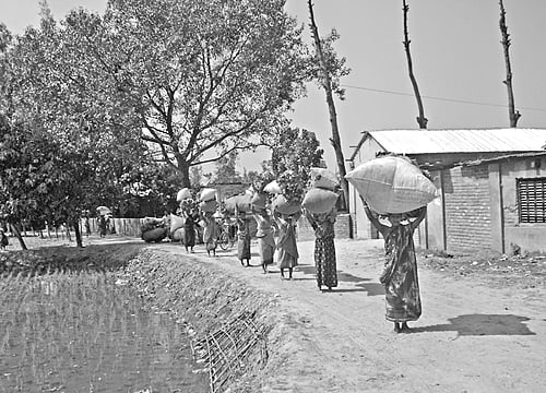 শালবন থেকে ঝরা পাতা বিক্রি করতে নিয়ে যাচ্ছেন শ্রমজীবীরা। পীরগঞ্জ উপজেলার থুমুনিয়া শালবনের পাশের ভুরভুষিকালি গ্রাম থেকে গত শনিবার তোলা ছবি l প্রথম আলো
