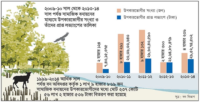 বাংলাদেশে বন ব্যবস্থাপনা ভবিষ্যৎ পরিকল্পনা