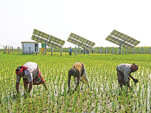 ঢাকার ধামরাই উপজেলার রাওয়ারটেক গ্রামে দুই বছর আগে স্থাপন করা হয়েছে সৌরবিদ্যুৎ-চালিত পাম্প। পাম্পটির পানি দিয়ে প্রতিদিন ৭৫ বিঘা জমিতে সেচ দেওয়া যায় l ছবি: সাহাদাত পারভেজ