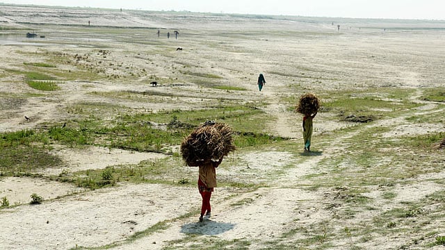নদীর বুকে পানি নেই, আছে ধু ধু মাঠ। নৌকায় নয়, হেঁটে যাচ্ছে মানুষ। ছবি: সোয়েল রানা, বগুড়া