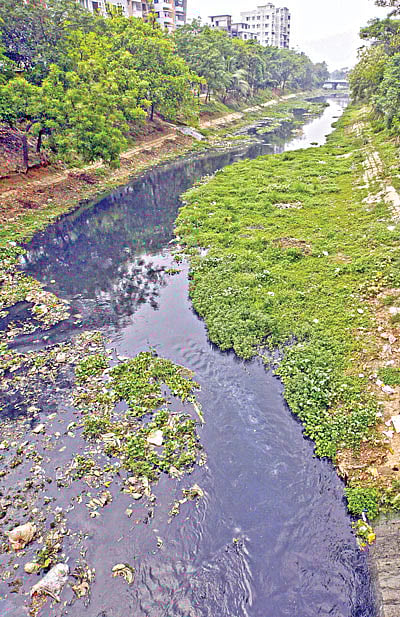 মাটি জমে আবদুল্লাহপুর খালের মধ্যে ঘাস, গাছপালা গজিয়েছে। পানির প্রবাহও প্রায় বন্ধ। কালো আর দুর্গন্ধযুক্ত পানি মশার প্রজননক্ষেত্র হয়ে উঠেছে। গতকাল তোলা ছবি l সাজিদ হোসেন