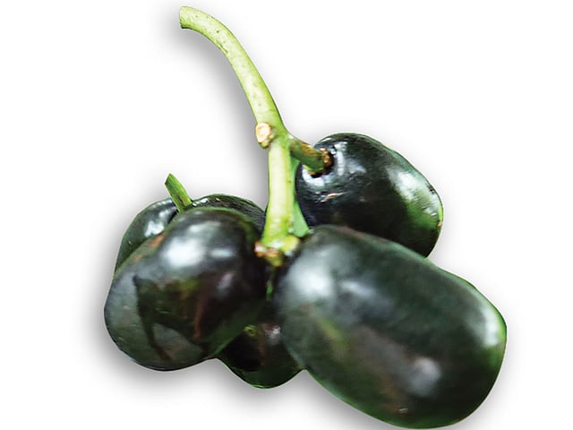 মিষ্টি ফলমূল