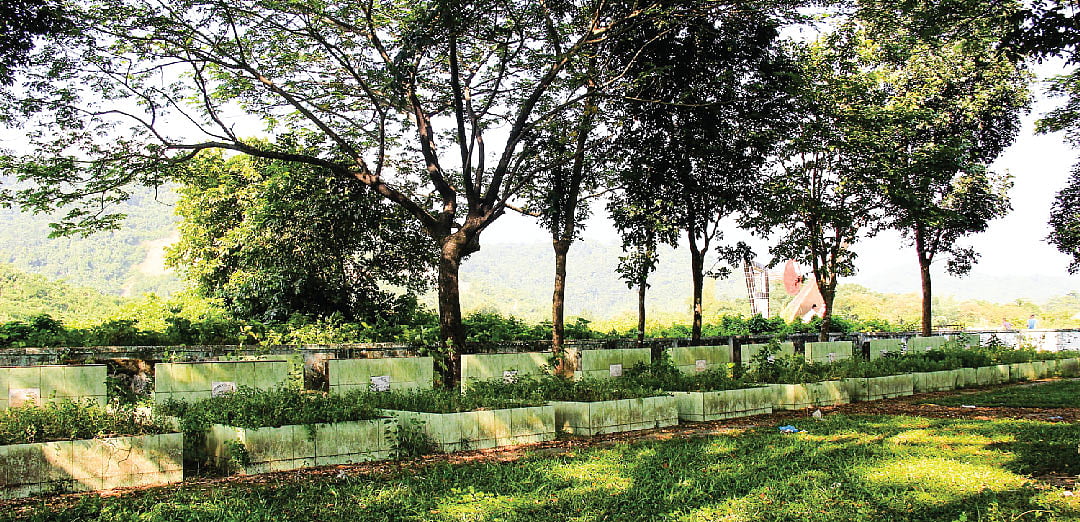 সবুজ ছায়ায় সারি সারি সমাধি। ছবি: লেখক