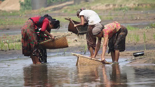 পাহাড়ি চেঙ্গী নদীতে বৈশাখের অল্প পানিতে মাছ ধরার রুইয়ের সাহায্যে ছোট মাছ, কাঁকড়া ও শামুক ধরতে ব্যস্ত মারমা তরুণীরা। ছবিটি সম্প্রতি খাগড়াছড়ি শহরের চেঙ্গী সেতু এলাকা থেকে তোলা। ছবি: নীরব চৌধুরী, খাগড়াছড়ি