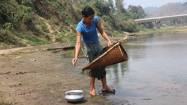রুইয়ে আটকা ছোট মাছ পাতিলে রাখছেন এক মারমা তরুণ। ছবি: নীরব চৌধুরী, খাগড়াছড়ি