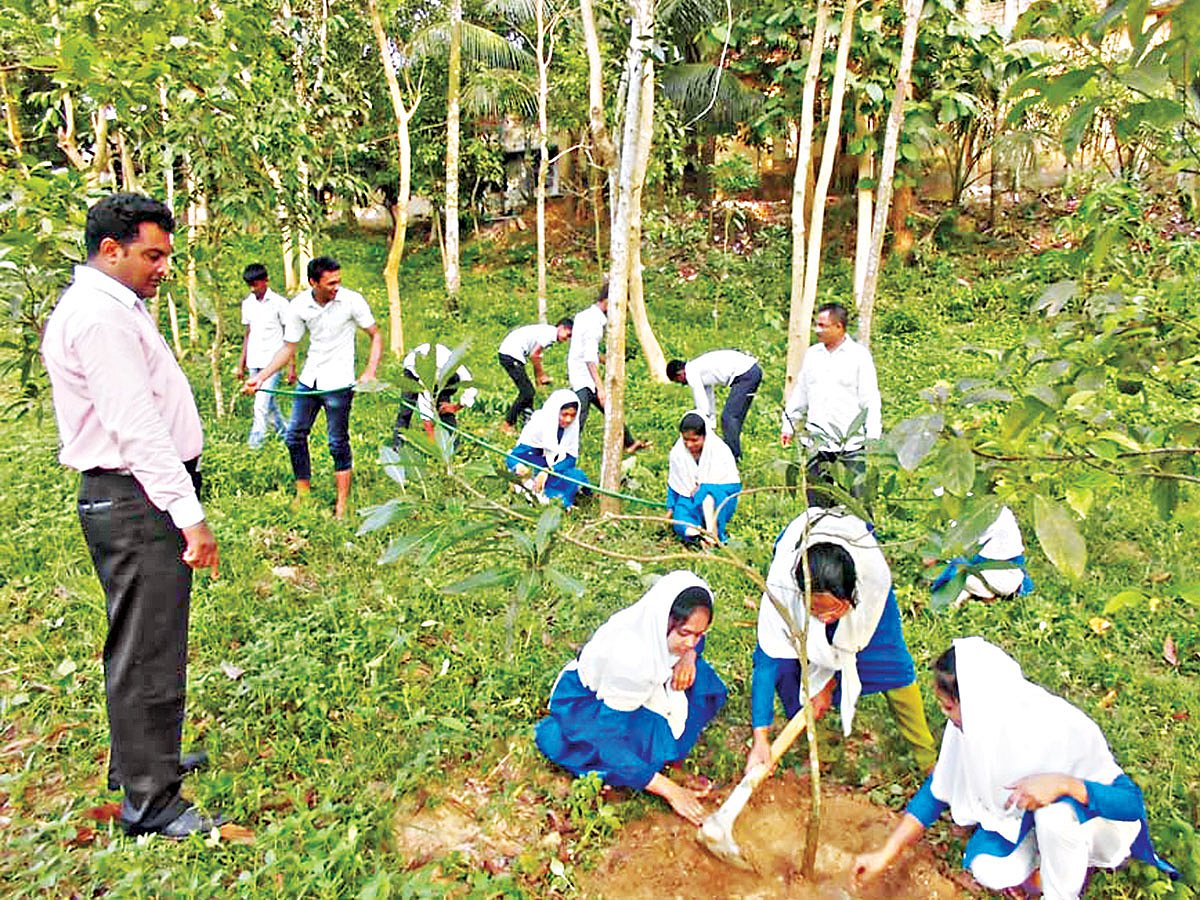 লোহাগাড়ার পুটিবিলা উচ্চবিদ্যালয়ে শিক্ষকদের তত্ত্বাবধানে গাছের পরিচর্যা করছে শিক্ষার্থীরা l প্রথম আলো