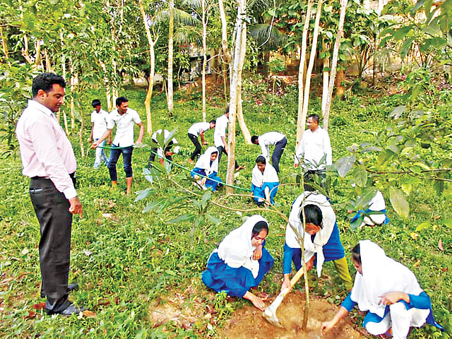 লোহাগাড়ার পুটিবিলা উচ্চবিদ্যালয়ে শিক্ষকদের তত্ত্বাবধানে গাছের পরিচর্যা করছে শিক্ষার্থীরা l প্রথম আলো
