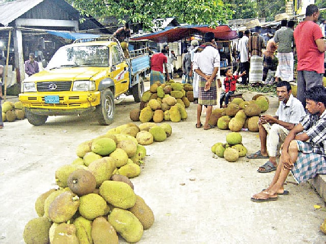 আম-কাঠলির জন্য ট্রাকে তোলা হচ্ছে কাঁঠাল। মৌলভীবাজার শহরের কোর্ট মার্কেট থেকে তোলা ছবি l প্রথম আলো
