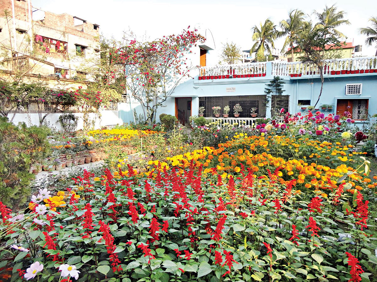 গোটা বাড়িটাই ফুল আর গাছগাছালির দখলে