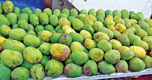 মৌলভীবাজারের চৌমোহনা এলাকায় বিক্রির জন্য সাজিয়ে রাখা হয়েছে আম l প্রথম আলো