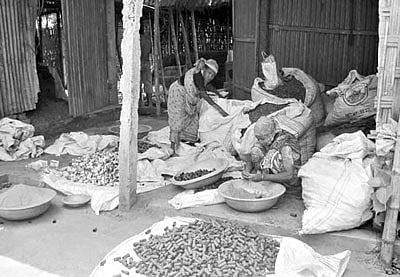 লালমনিরহাটের আদিতমারী উপজেলার মহিষখেঁাচার দক্ষিণ বালাপাড়া গ্রামের বাদশা গুল ফ্যাক্টরিতে তামাকের গুঁড়া কৌটায় ভরছেন দুজন নারী শ্রমিক। ছবিটি ৭ জুন তোলা l প্রথম আলো